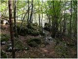 Stara Fužina - Planina Zgornja Grintovica